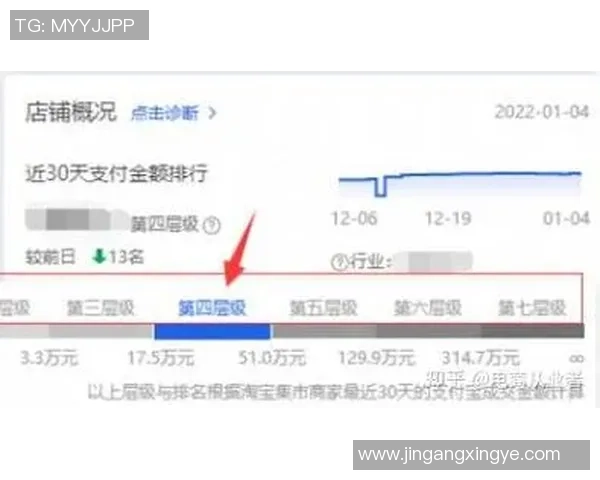 西安网球队运营全景解析：深度探讨其成功背后的策略与挑战